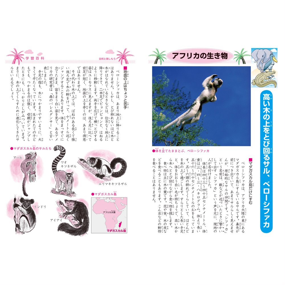 Amazon.co.jp: ショウワノート 学習帳 ジャポニカ 漢字学習 5・6